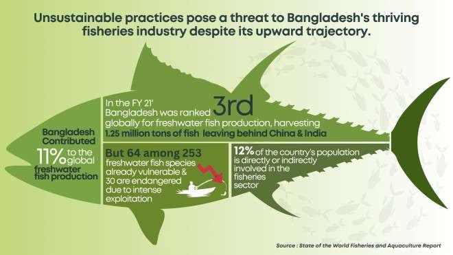 bangladesh fish industry