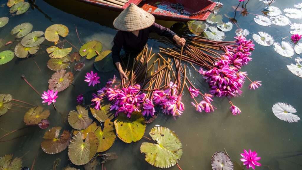 Sustainable Coastal Economies: "How does Private Sector Involvement Foster Green Businesses in Coastal Bangladesh?"
