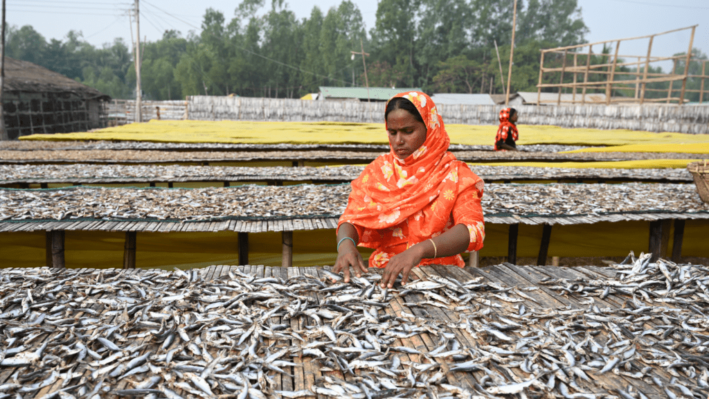 Is the Future of Coastal Sustainability Tied to Women-Driven Green Businesses?